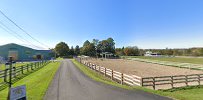 Shining Horizons Therapeutic Riding Association