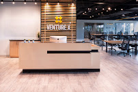 York Executive Group