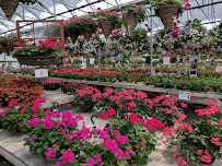 Passion Jardins