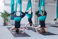 Yoga Jungle Aerial Studio