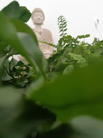Bethany Lee Yoga and Wellness