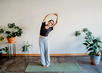 Modo Yoga Brant