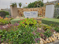 Genius Paving and Walls