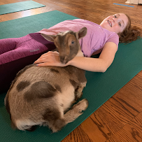 Simply Yoga and Fitness