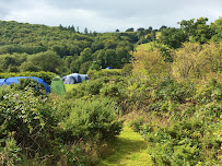 Dol-Llys Farm Caravan & Camping
