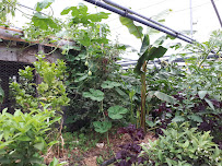 Farm Du Bec Hellouin School Of Permaculture Du Bec Hellouin
