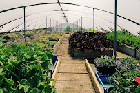 Farm Du Bec Hellouin School Of Permaculture Du Bec Hellouin