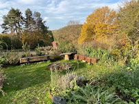 Step by Step - towards a living Earth - Permaculture training