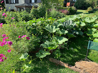Step by Step - towards a living Earth - Permaculture training