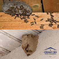 Crawford Pest Control