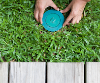 FL Termite & Pest Experts