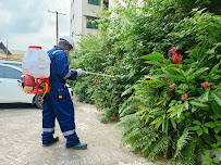 The Best Pest Exterminators