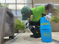 The Best Pest Exterminators