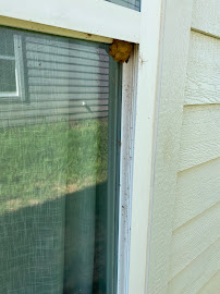 The Bed Bug Experts of Texas LLC | Best Bed Bug Treatment in Dallas, TX