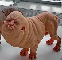 Ajax Pet Care Centre