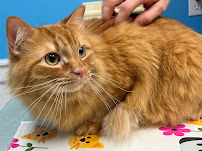 Harwood Pet Hospital