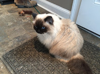 The Lehigh Valley Humane Society and Vet Clinic