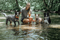Off Leash K9 Training, Lehigh Valley