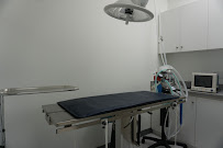 Fur Fresh VIP Pet grooming