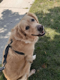 Abbotsford Animal Hospital