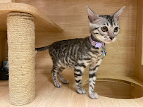 Bayview Wellington Veterinary Clinic