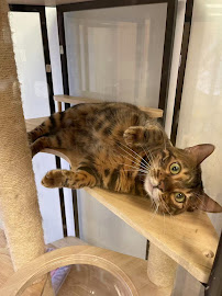 Bayview Wellington Veterinary Clinic