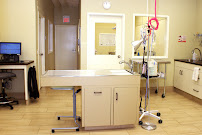 World of Difference K9 Dog Training