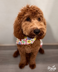 VCA Canada 404 Veterinary Emergency and Referral Hospital
