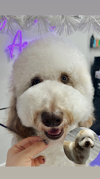 Paw de Janeiro Pet Care