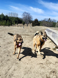 Unified K9 Behaviour Centre Inc.