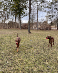 Unified K9 Behaviour Centre Inc.
