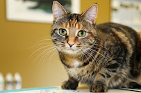 Hillside Veterinary Clinic
