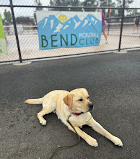 Dogs Gone Wild, LLC