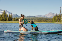 Elevate Pet Wellness Center
