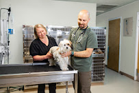High Desert Veterinary