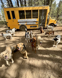 Bend Animal Hospital