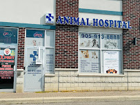 Brampton Georgetown Animal Hospital