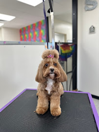 Broken Arrow Pet Resort & Spa