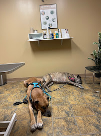 Animal House Veterinary Hospital