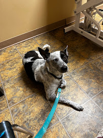 Animal House Veterinary Hospital