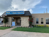 Premier Animal Wellness and Surgery