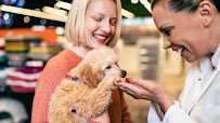 Camp Bow Wow Tulsa