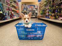 Dogville Daycare & Boarding