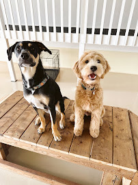 Len's Home & Pet Care