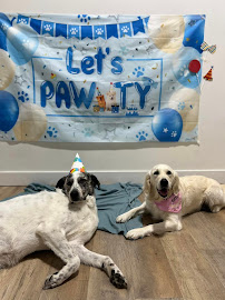 Good Dog of Port Moody