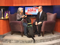 Top Notch Pet Care