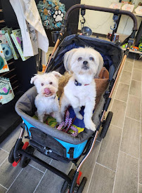Four Paws Play Yard