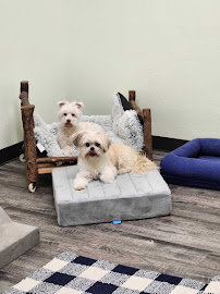 Four Paws Play Yard