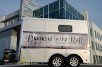 Diamond In The Ruff Mobile Pet Spa