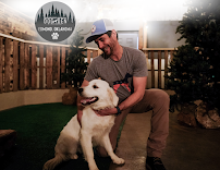 Greatest American Dog Trainers and The Den
